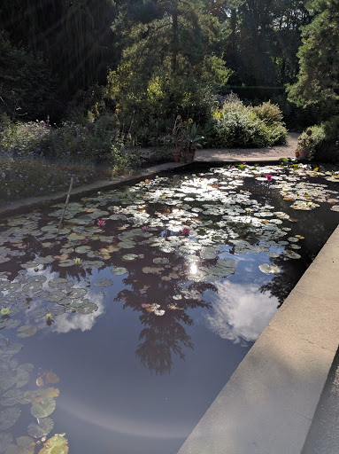 Hidcote