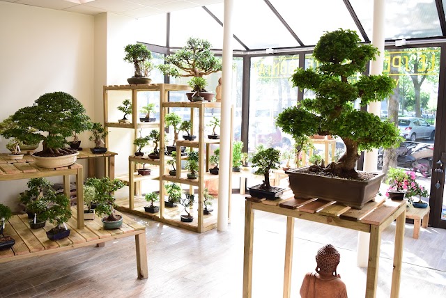 Le Petit Arbre