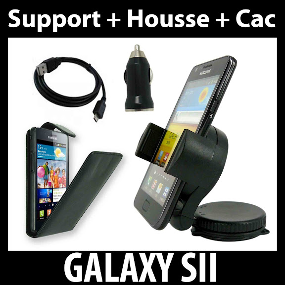 Support%252Bcac%252Bhousse%2520galaxy%2520SII.jpg