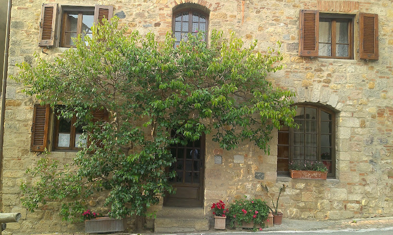 Hauptbild von Castello di Bolgheri