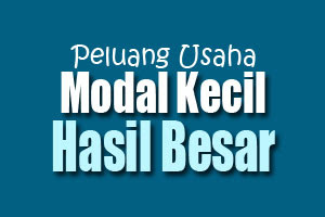 Peluang Usaha