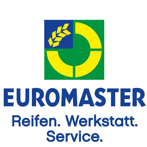 EUROMASTER SIEGEN logo