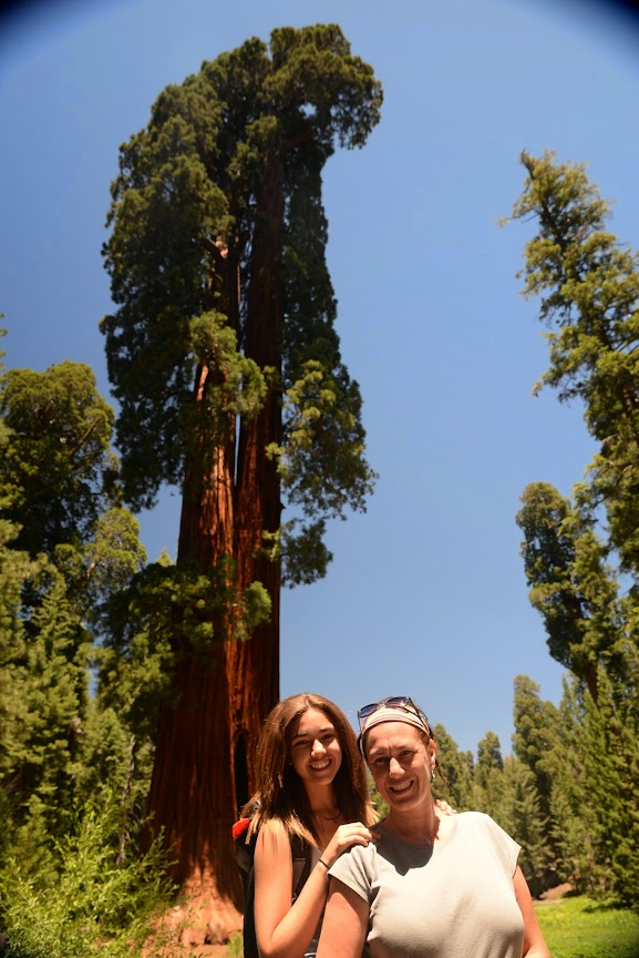 Entre árboles Gigantes (y Algún Oso) - Combinado USA - NY+ Costa Oeste (2014) (11)