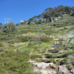 Looking up at the chairlift from Merrits Nature Track (272033)