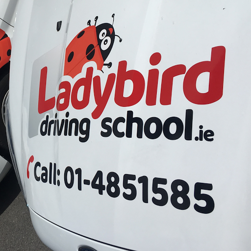Ladybird Driving School Swords
