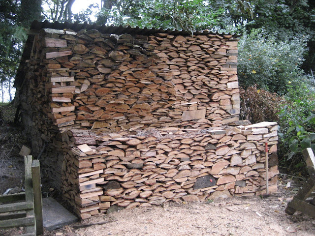 Woodpile%2520Oct%25202010%2520002.JPG