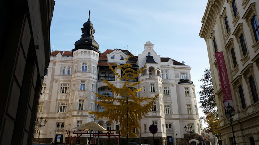 Toulavý kocour