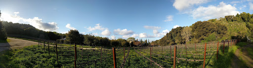 Winery «Portola Vineyards», reviews and photos, 850 Los Trancos Rd, Portola Valley, CA 94028, USA