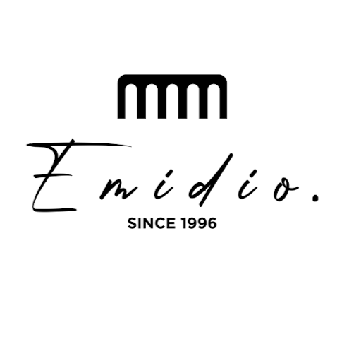 Emidio Since 1996 logo