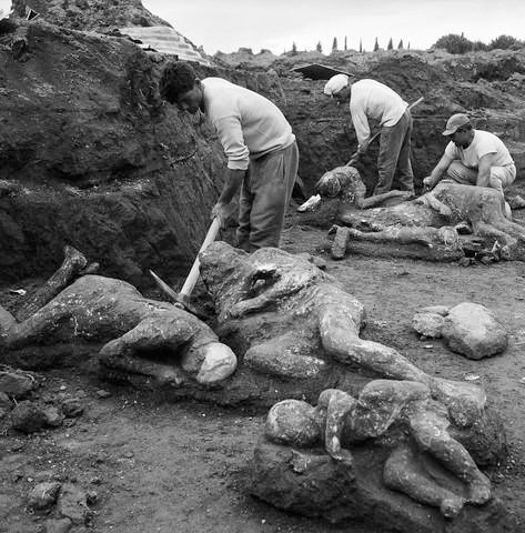 Image result for pompeii bodies