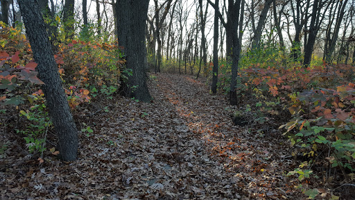 Nature Preserve «Volo Bog», reviews and photos, 28478 W Brandenburg Rd, Ingleside, IL 60041, USA