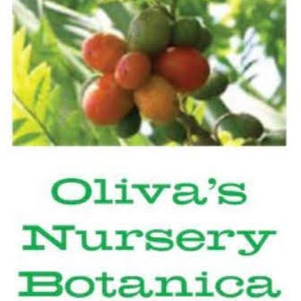 Oliva's Nursery Botanica
