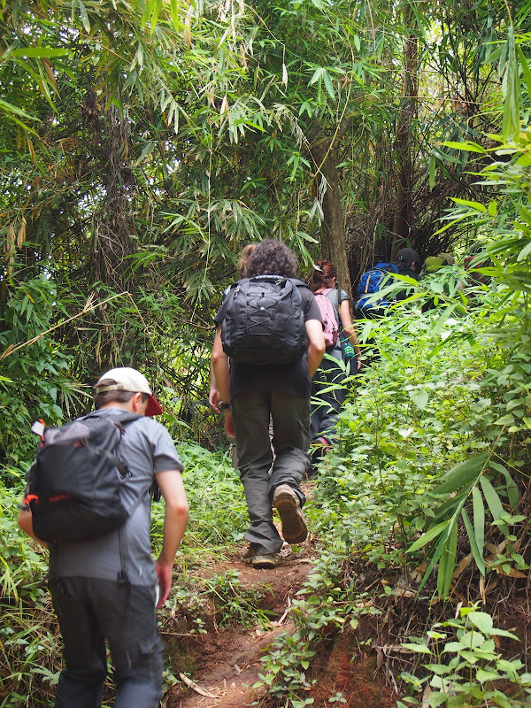 Chiang Mai - Trekking (1er día) - Por Tierras de Siam (15)