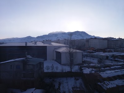 lodging
