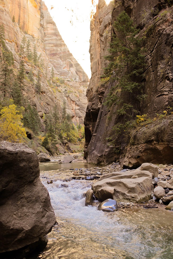 Hiking Zion National Park.