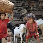 Photo de la galerie "Bandipur, petit village himalayen entre Kathmandu"