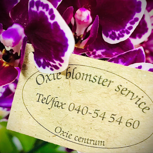Oxie Blomsterservice logo