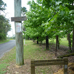 Signposts at the intersection of Forest and Tooheys Rds  (368018)