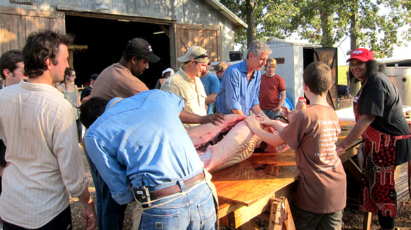 Tony assists in the butchering of the hog