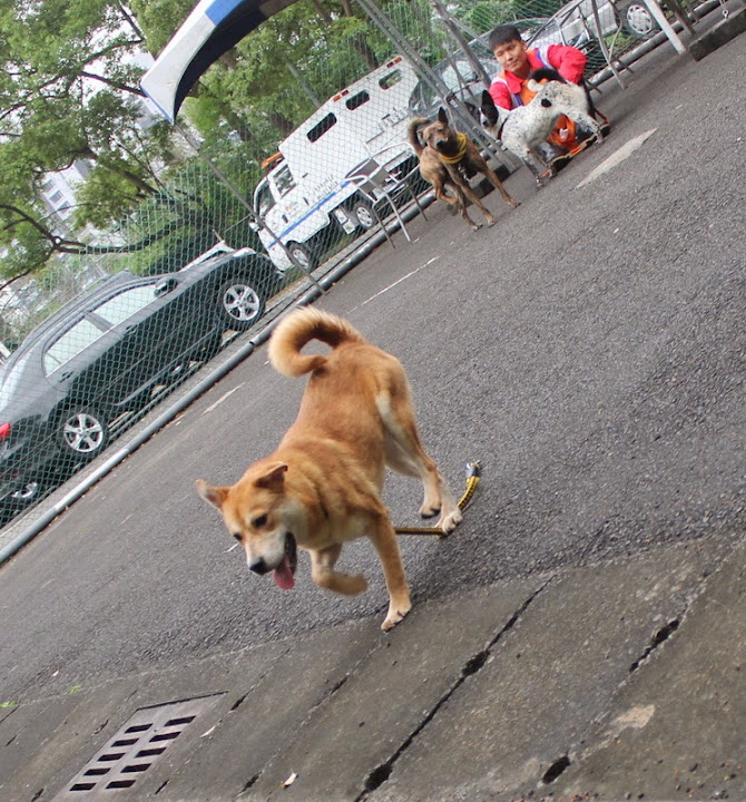 圖檔