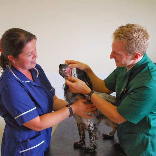 Eden Veterinary Practice