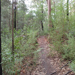 Red Hands Cave Track (145353)