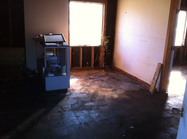 IMG_4642.JPG