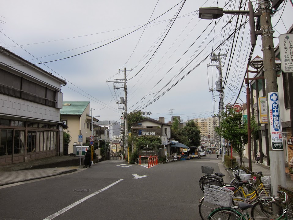 Япония во второй раз, или повесть о пересеченной местности в условиях частичного момидзи