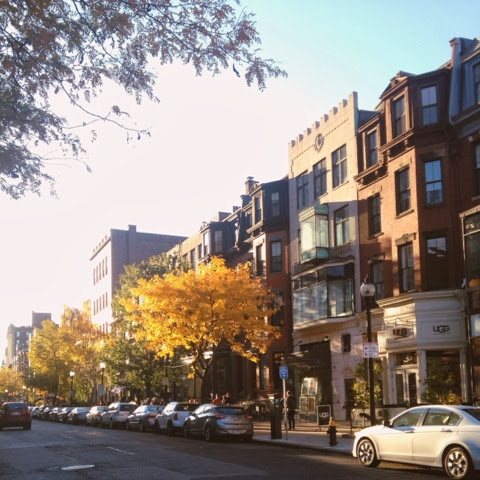 fall, boston, leaves