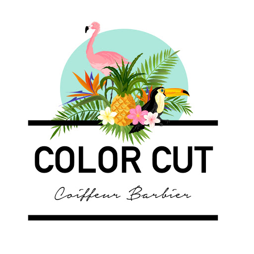 Color cut logo