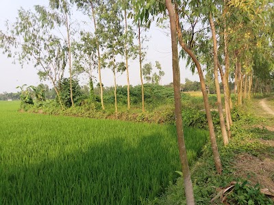 Photos of Anaitara Cemetery