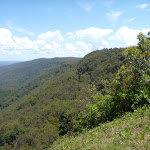 View Heaton Gap Lookout on The Great North Walk (359213)