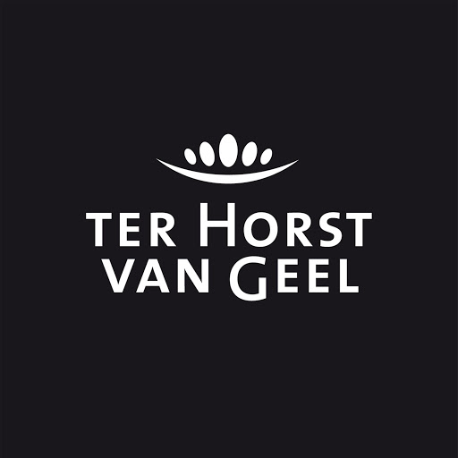 Ter Horst van Geel Veghel logo