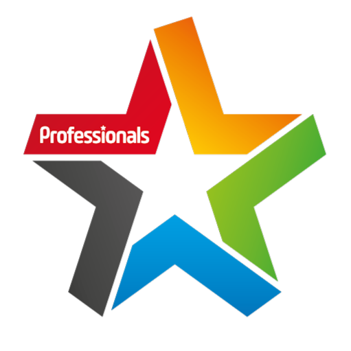 Professionals North Otago logo