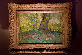 Vincent Van Gogh "L’uomo e la terra"