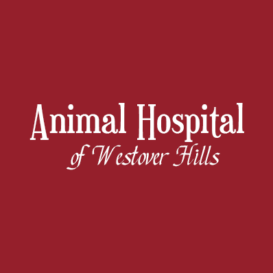 Animal Hospital of Westover Hills