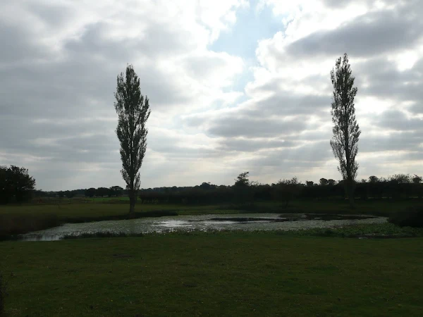 Lakes at Mannington Hall