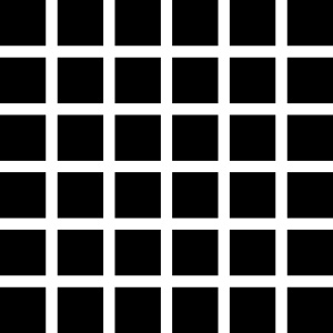 232px hermann grid illusion 20 Incredible Optical Illusions