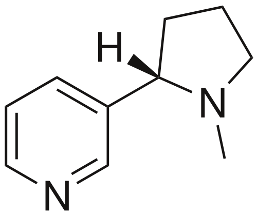 Structure Of Nicotine