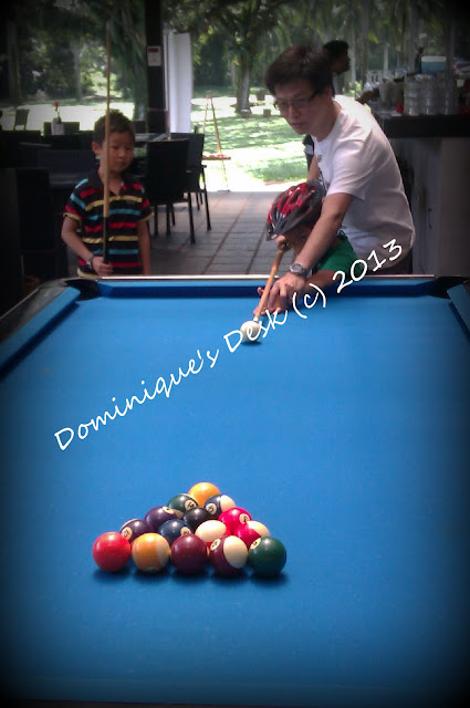 R teaching Doggie boy how to play  Snooker