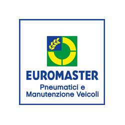 Euromaster Pneumatici e Servizi logo