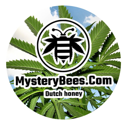 MysteryBees logo