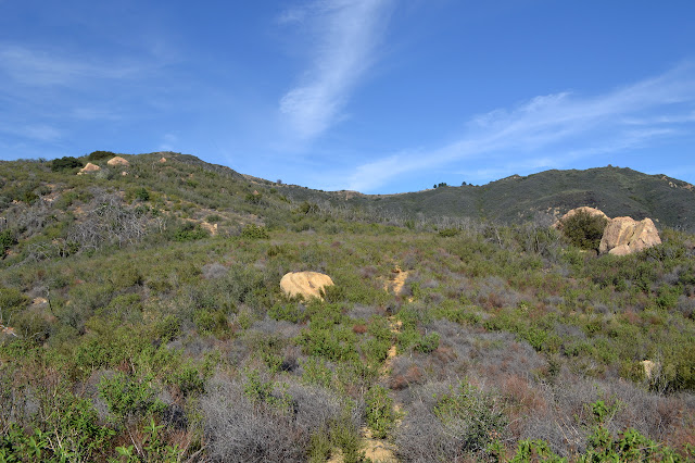 thin line of trail going up