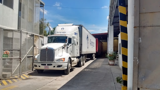DAM TRACTO IMPORTACIONES SA DE CV (REFACCIONES Y SERVICIO DIESEL), México-oaxaca 106, Hermenegildo Galeana, 62743 Cuautla, Mor., México, Taller de camiones | JAL
