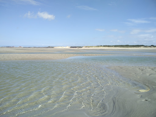 Baie d'Authie