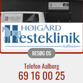 Højgård Hesteklinik Aalborg logo
