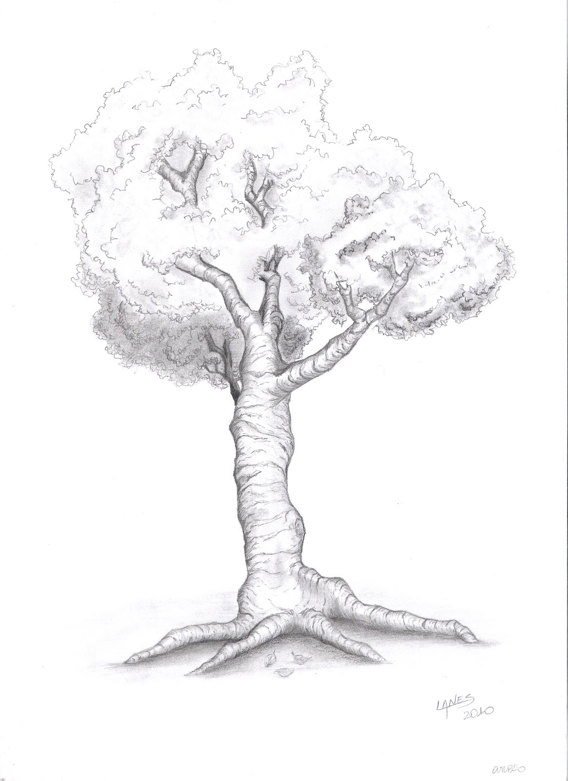 Projeto Publicidade: Desenho livre - Uma Árvore