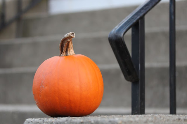 sugar pumpkin on someone's front stoop