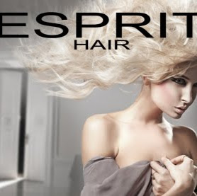 Esprit Hair Salon logo