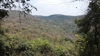 Photos of Bosque Protector Cerro Blanco
